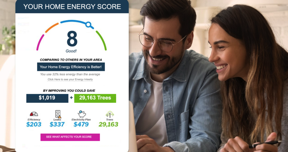 EnerWisely Home Energy Score