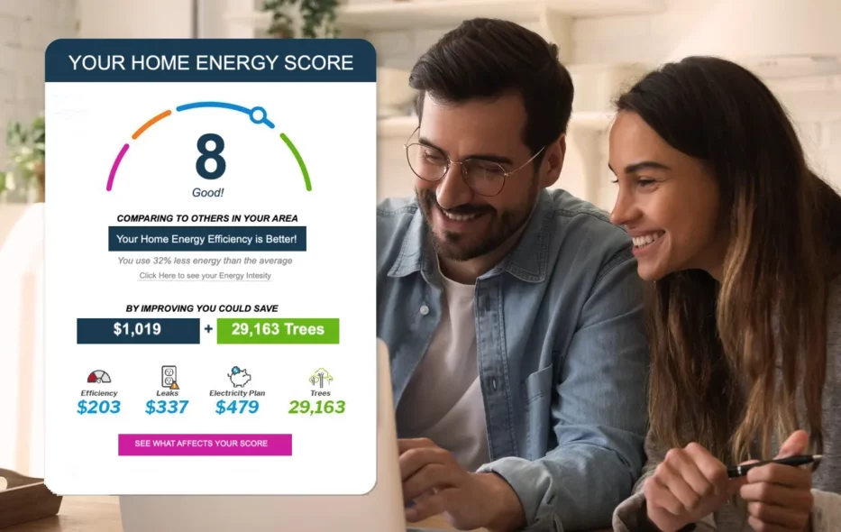 Your home energy score